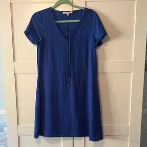 Daniel Rainn Blue Dress with Camisole liner